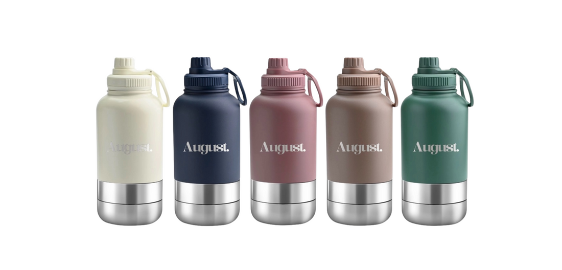 The Only 3-in-1 Dog Water Bottle You’ll Ever Need