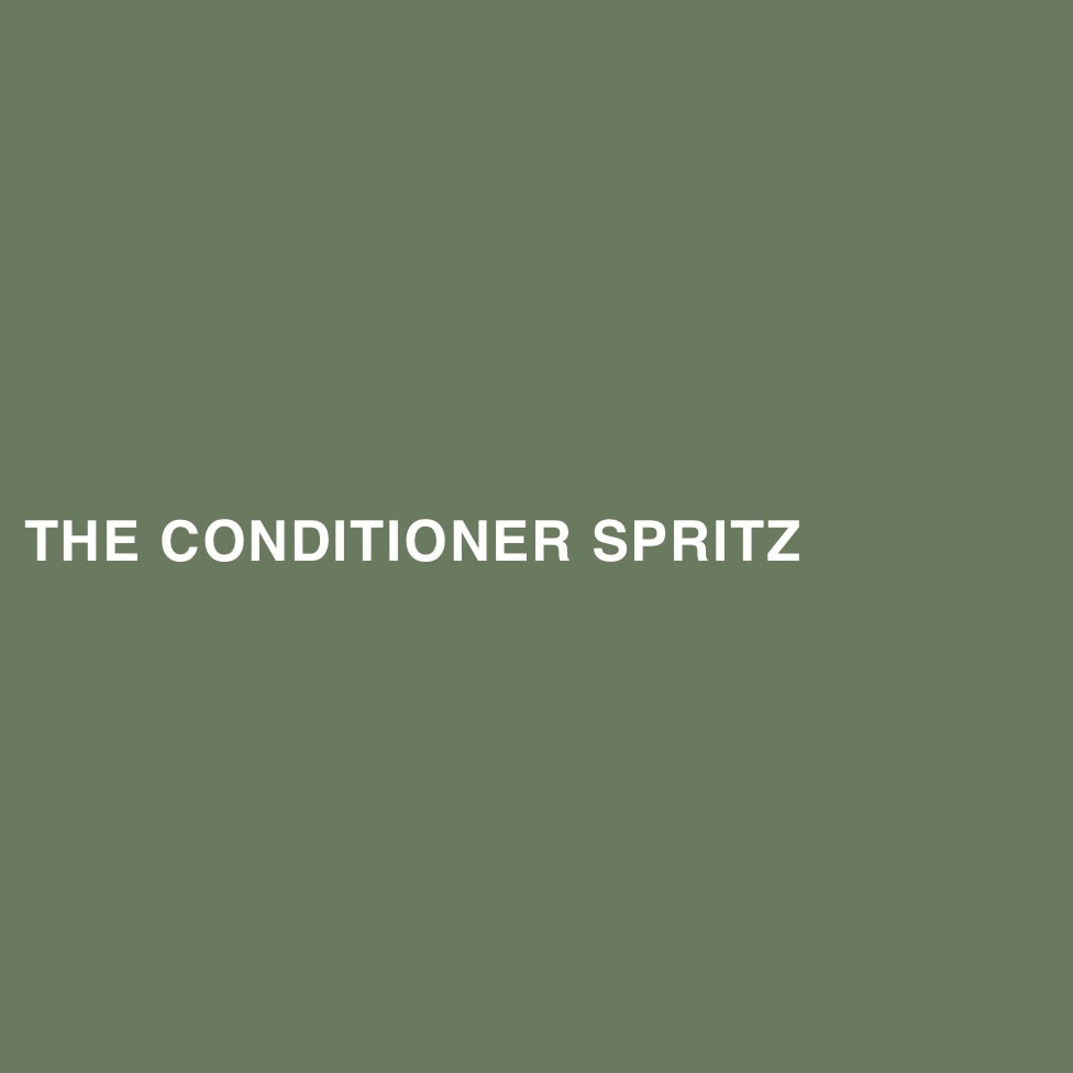 THE CONDITIONER SPRITZ
