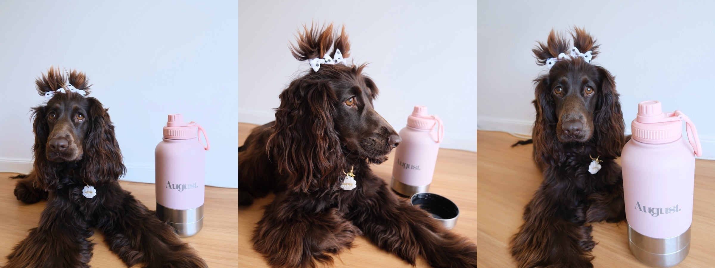 Brown spaniel dog with bow sitting beside pastel pink August 3-in-1 dog water bottle with detachable bowls.